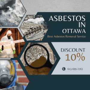 asbestos removal contact ottawa